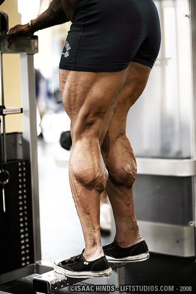 1146-legs.jpg