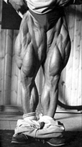 9861-tom-platz.jpg