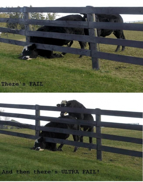 3712-dairy-fail.jpg