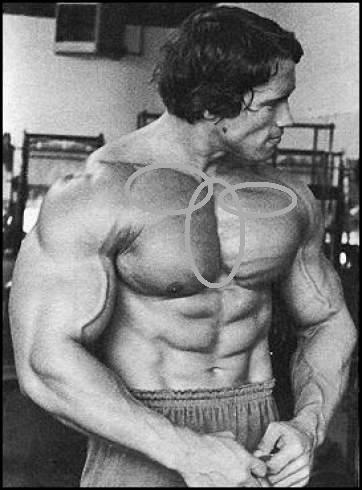 2094-arnold-schwarzenegger-bodybuilding-pic.jpg