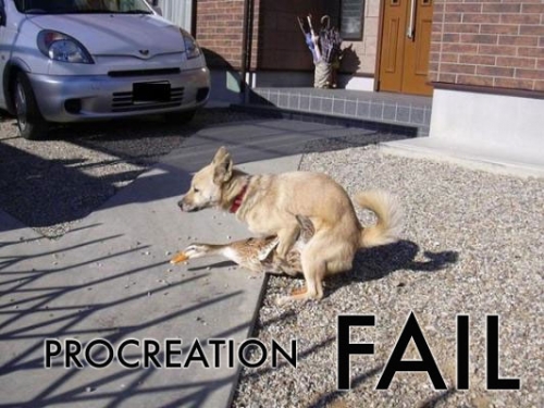 9625-procreationfail.jpg
