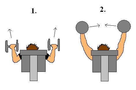 4487-Incline db bp.JPG