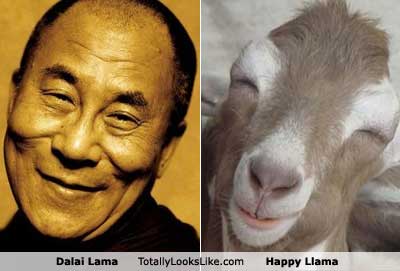 1009-dali-lama.jpg