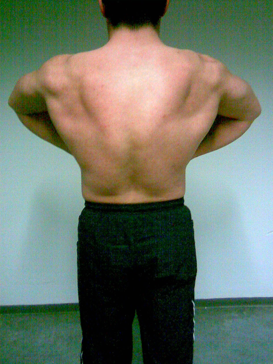 2990-16.02.09 back lats spread.jpg