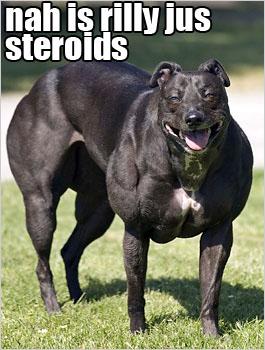 1100-steroids.jpg