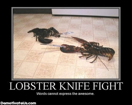 3271-e939c-lobster_knife_fight_demotivational_poster.jpg