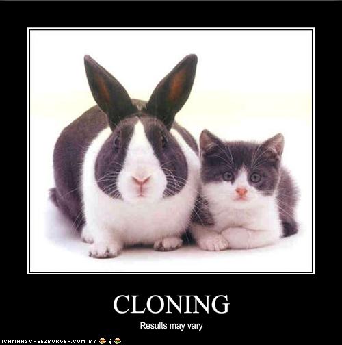 7722-funny-pictures-cloning-results-may-vary.jpg