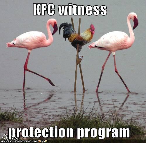 1595-funny-pictures-kfc-chicken-stilts-flamingos.jpg
