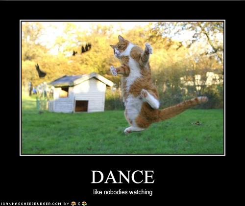 1629-funny-pictures-cat-dances-like-nobody-is-watching.jpg