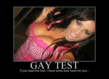 4498-gay.jpg