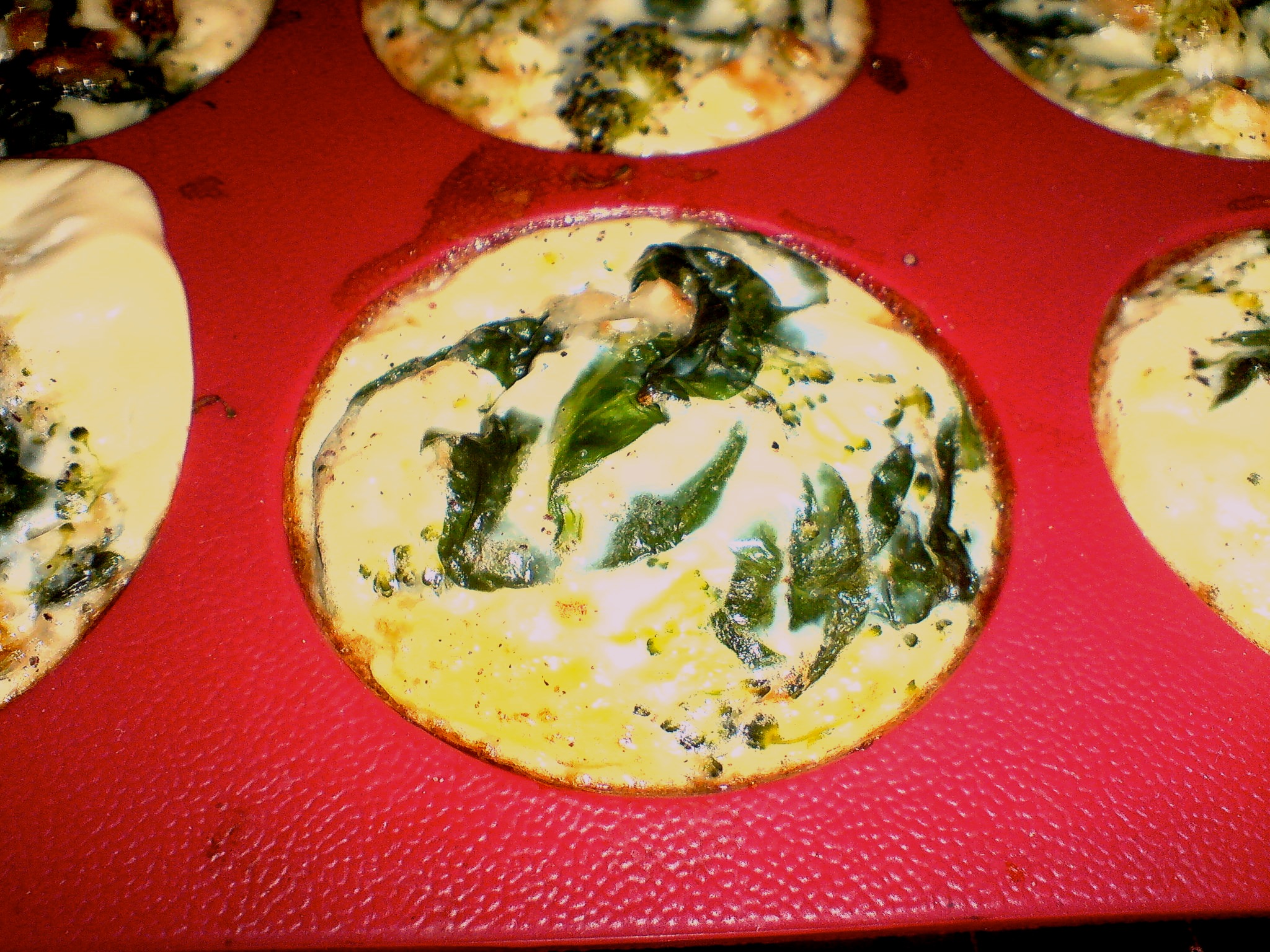 6908-broccoli:spinat-muffin.JPG