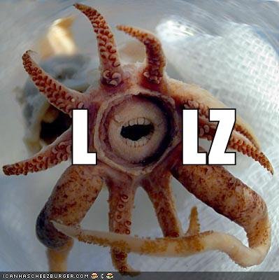 5569-f7625-lolz.jpg