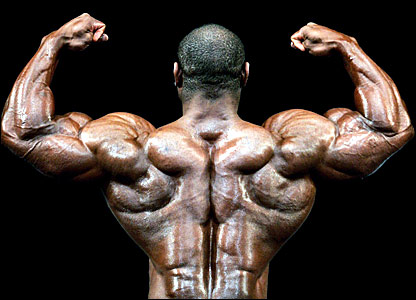 1136-_42664419_bodybuilder.jpg