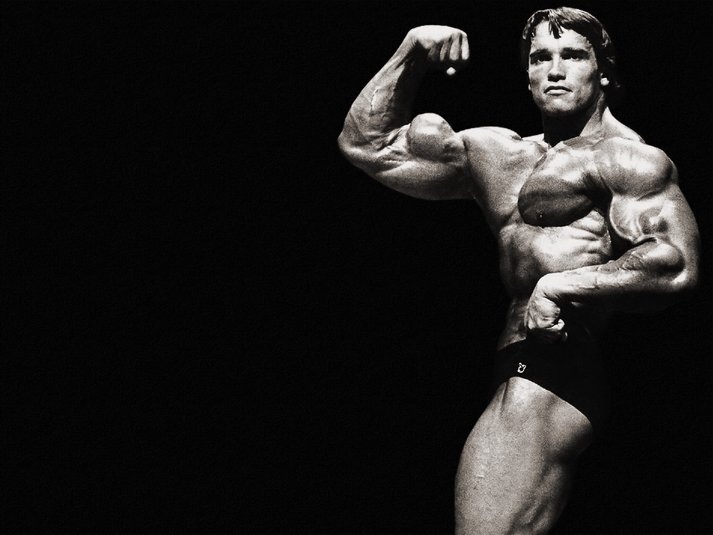 7211-arnold wallp 2.jpg