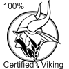 viking_001.gif