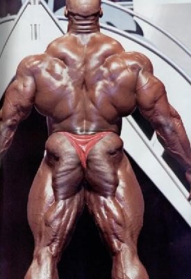 Ronnie_Coleman_sygeste back.jpg
