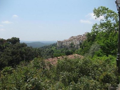 IMG_0431b.jpg