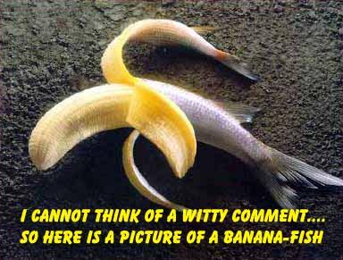 1113402.1150527667747.banfish.jpg