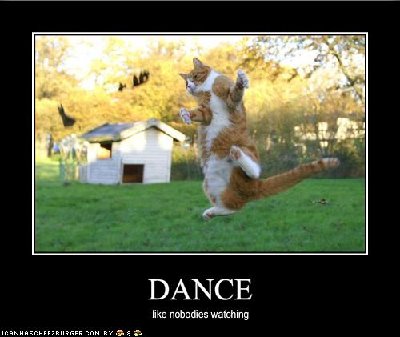 funny-pictures-cat-dances-like-nobody-is-watching.jpg