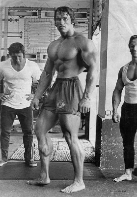 arnold_schwarzenegger.gif