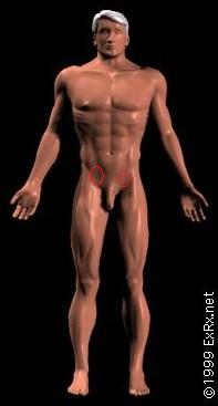 Hips smerter.jpg