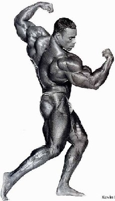 45282Levrone_09.jpg