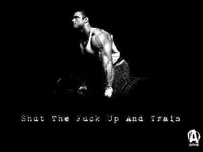 stfuandtrainzs1.jpg