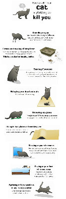 cat_will_kill_you.jpg