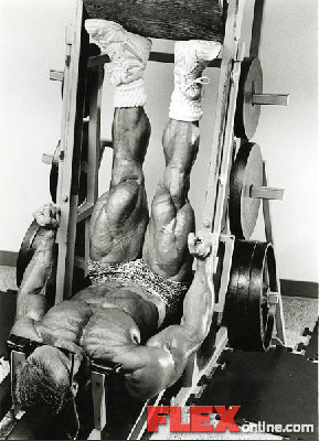 quads3.jpg