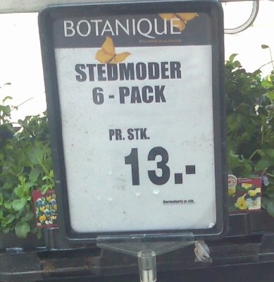 b.jpg
