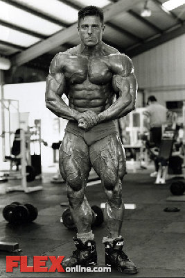 quads1.jpg