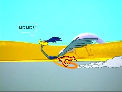 Roadrunner.jpg