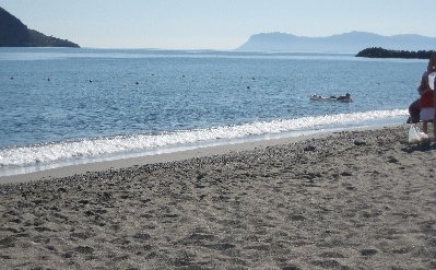 IMG_2984.JPG