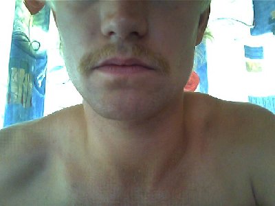 Snapshot_20090717.jpg