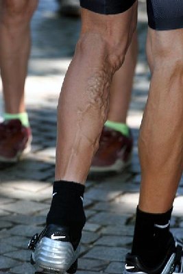 HincapieLeg.jpg