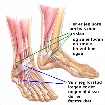 FootAndAnkle.jpg