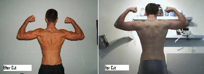 Før og Efter cut (Back, Biceps) - 28-07-09.jpg