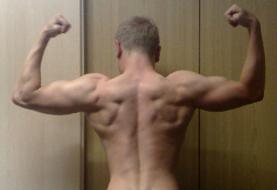 back bicepsx.jpg