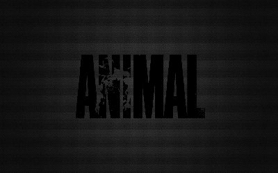 animal2.jpg
