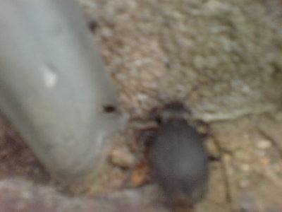 DSC01359.JPG