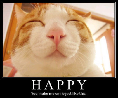 happycat.jpg