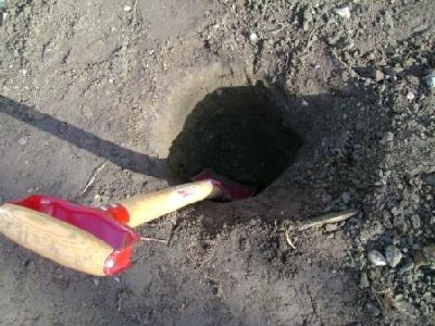 2.JPG
