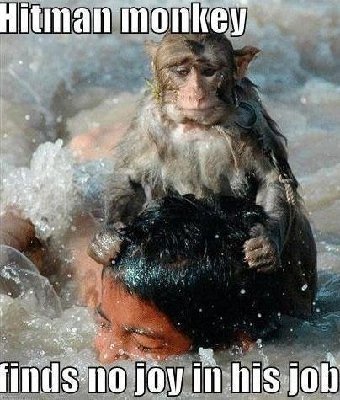 Hitman Monkey.jpg