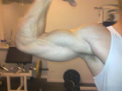 arm.jpg