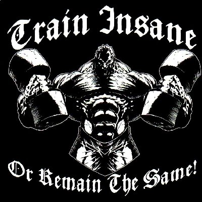 Train Insane-ws.jpg
