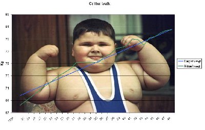 Bulk.JPG
