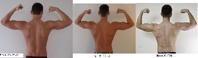 Critter - double back biceps.JPG