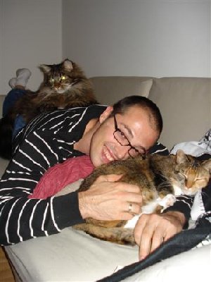 kitty inferno (Small).JPG