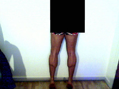 calves_dec09.jpg
