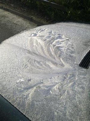 frost.jpg
